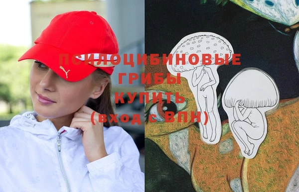 Альфа ПВП Баксан